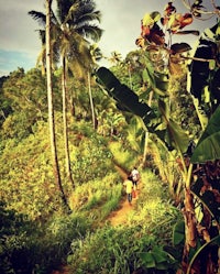 two people walking down a trail in the jungle