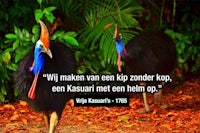 two birds standing next to each other with a quote